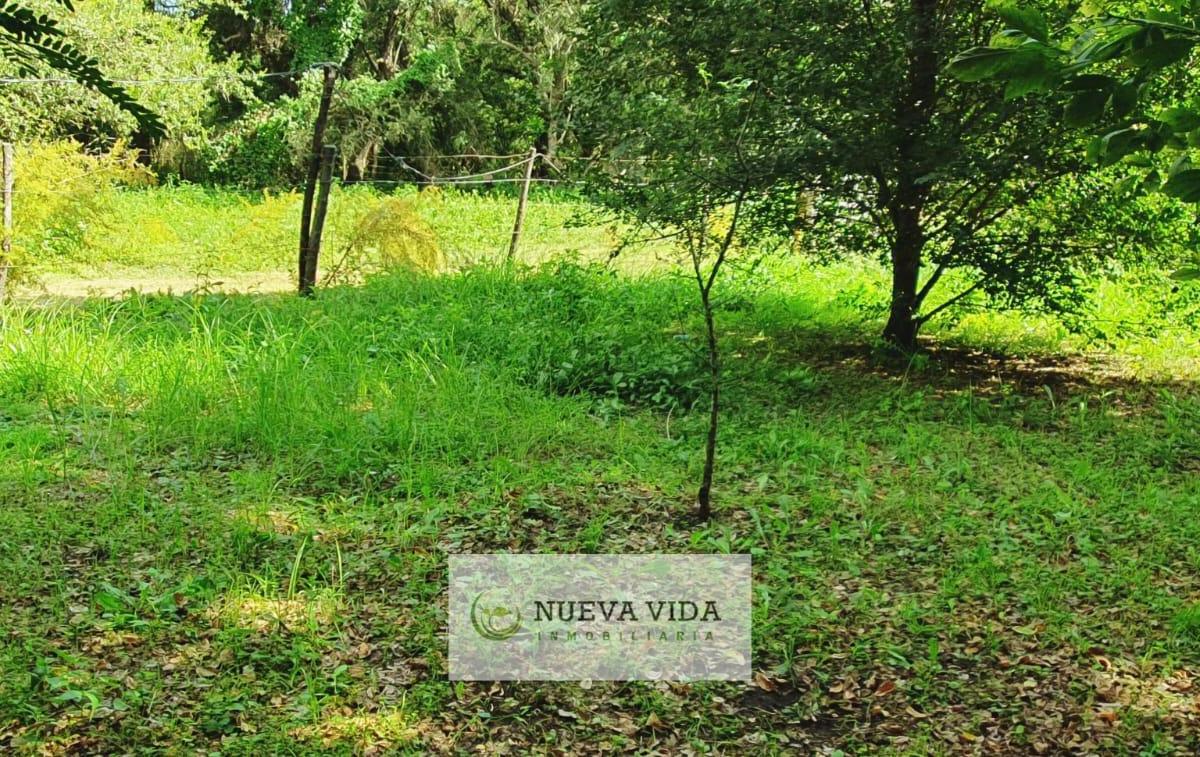 Venta de Casa en Santa Rosa de Calamuchita 3