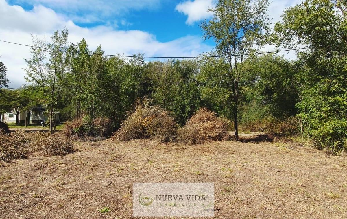 Foto de Venta de terreno en Villa Rumipal, imagen 3