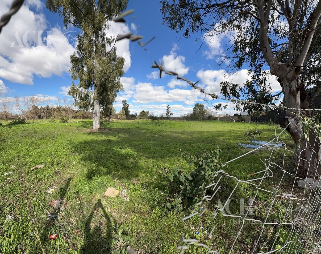 Foto de Terreno Parcela en Venta en Nordelta, Tigre, G.B.A. Zona Norte, imagen 4