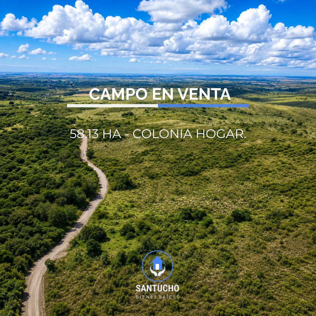 ️ VENTA / CAMPO 58.13 HA EN COLONIA HOGAR, CÓRDOBA ️
