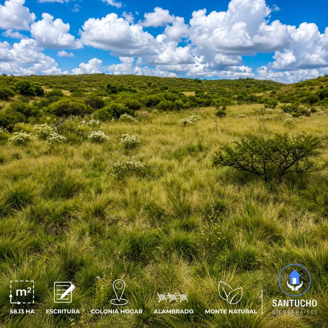 ️ VENTA / CAMPO 58.13 HA EN COLONIA HOGAR, CÓRDOBA ️ 3