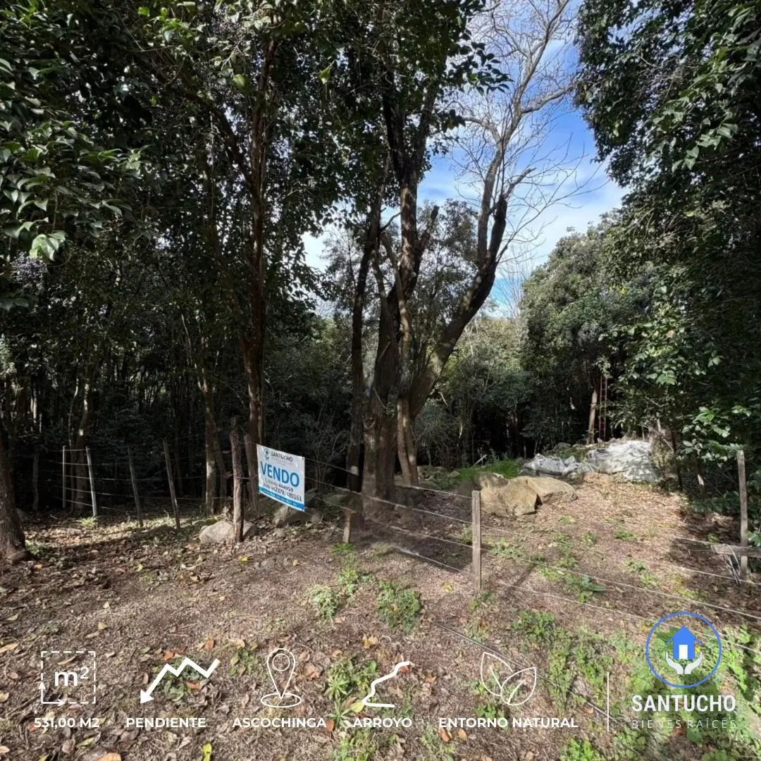 ️ VENTA / TERRENO ️ 3