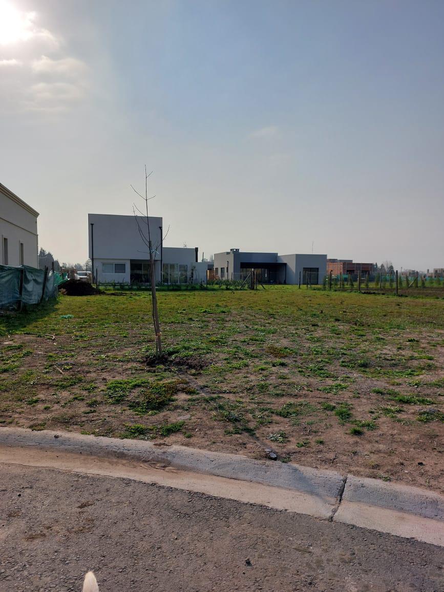 Terreno en venta Barrio Santa Elisa Pilar Del Este