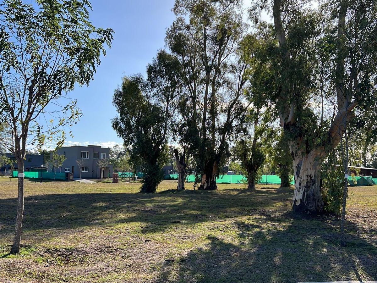 Terreno en  venta en Santo Tomas - central