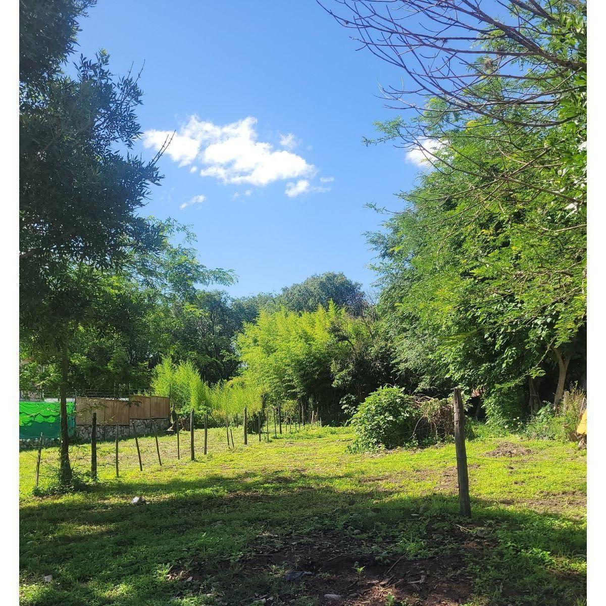 Lote de Terreno en Venta, Casa Grande 5