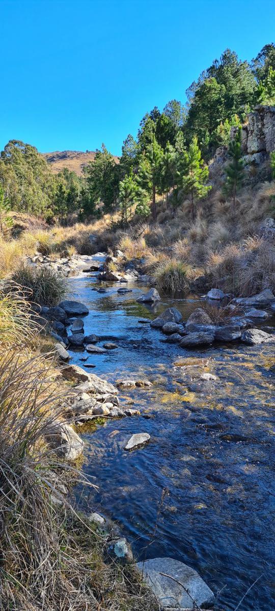 Lotes/s en El Durazno, Yacanto 2