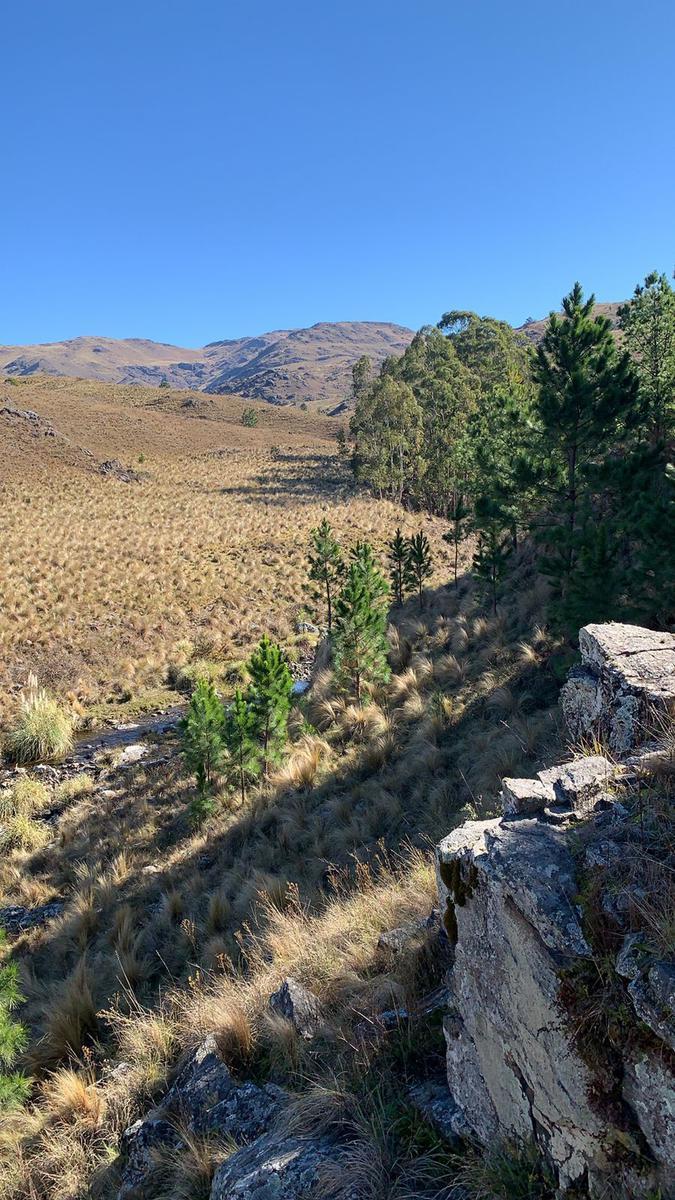 Lotes/s en El Durazno, Yacanto 1