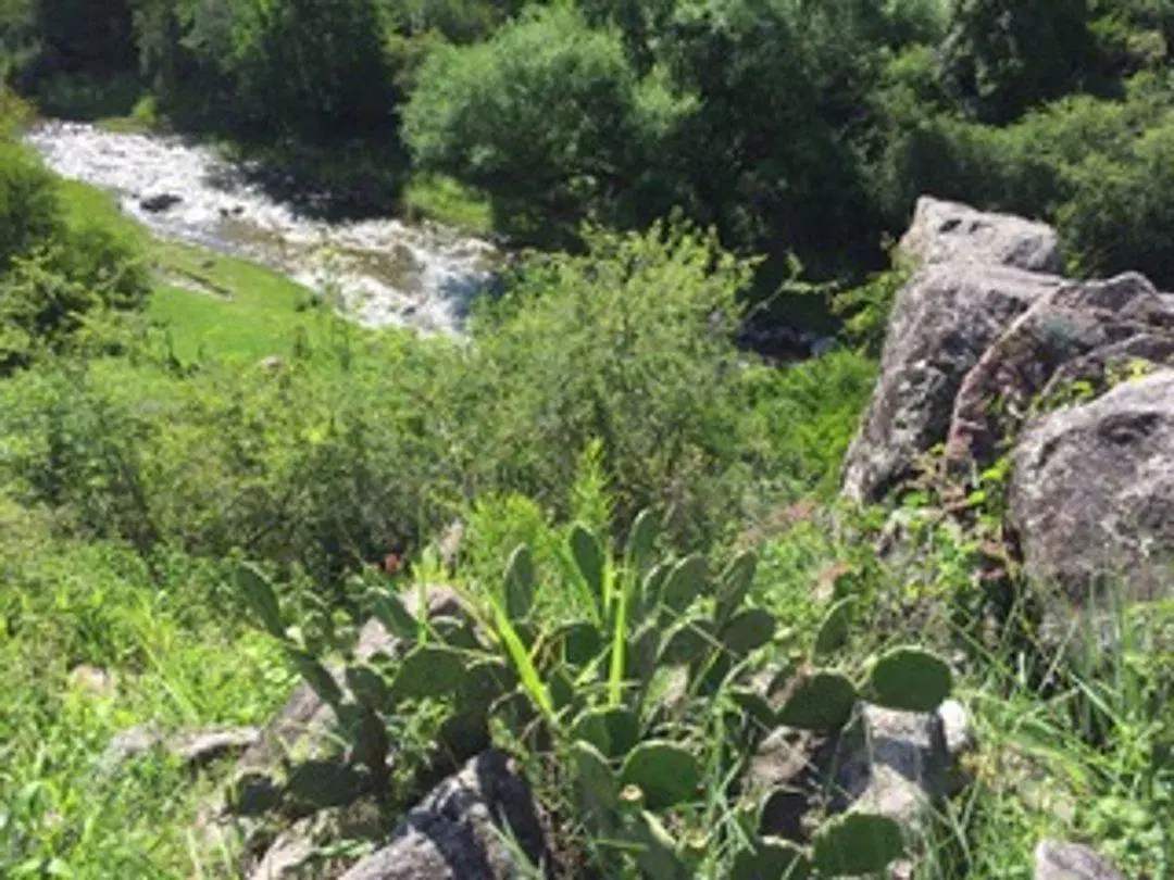 Venta lote en La Granja 2800 mts con 60 mts de costa de río! 3