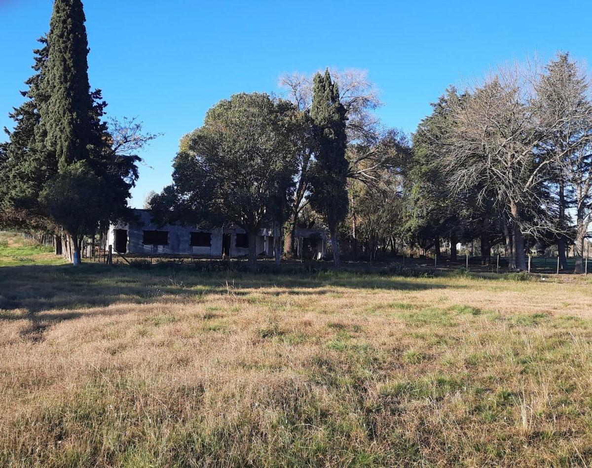 Gran Lote S/ Autopista 9 Altura Baradero. 3