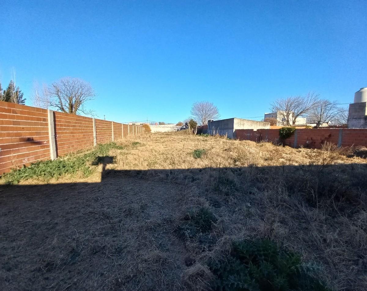 Gran Lote en Figueroa Alcorta 730 2