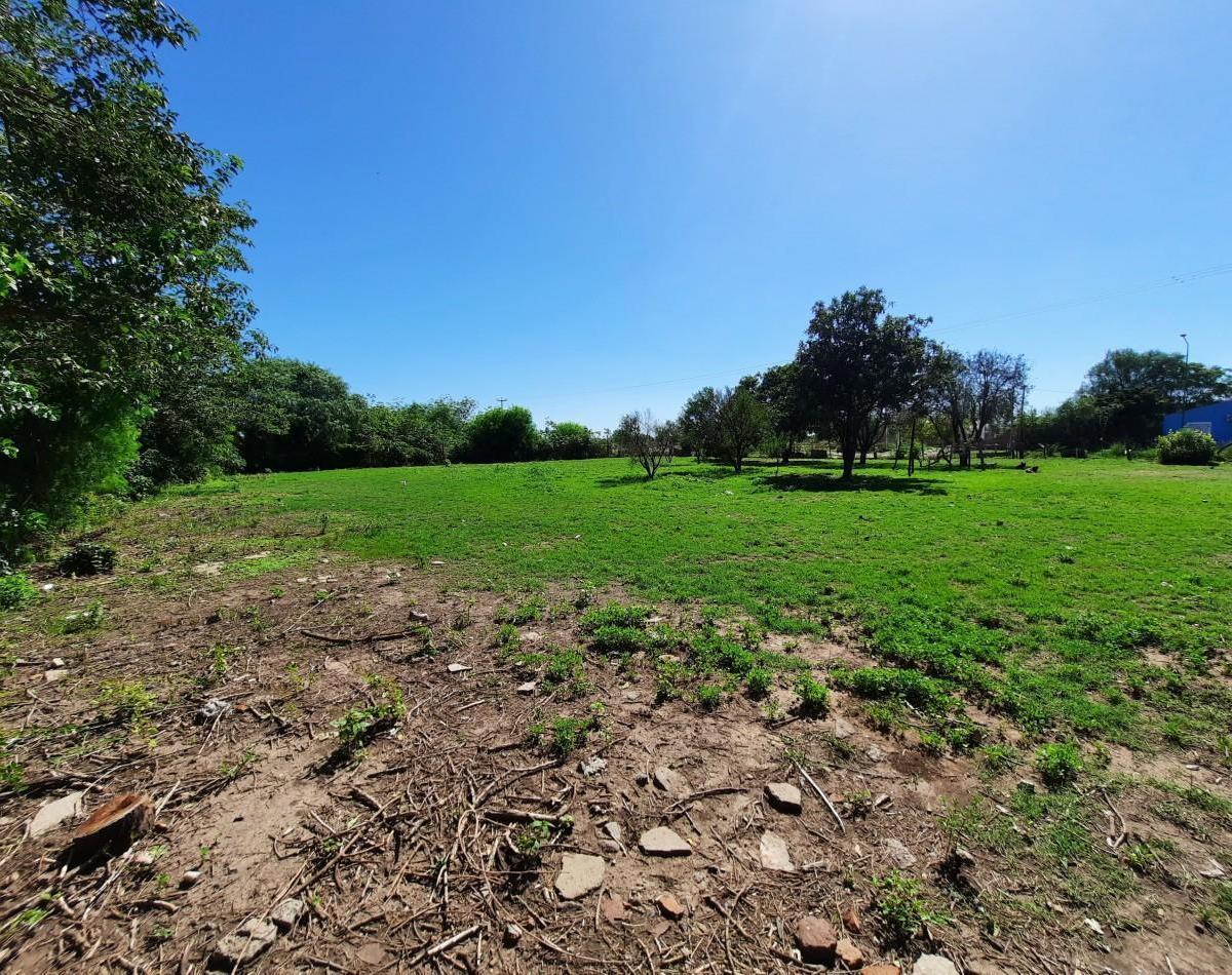 Gran Lote de 5800 Mt² en Av Alvarez y Reynoso 4