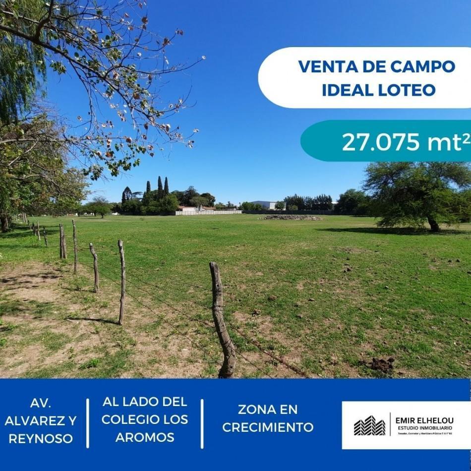Fraccion de Campo de 2,7 Ha Ideal Loteo o Proyecto Comercial 4