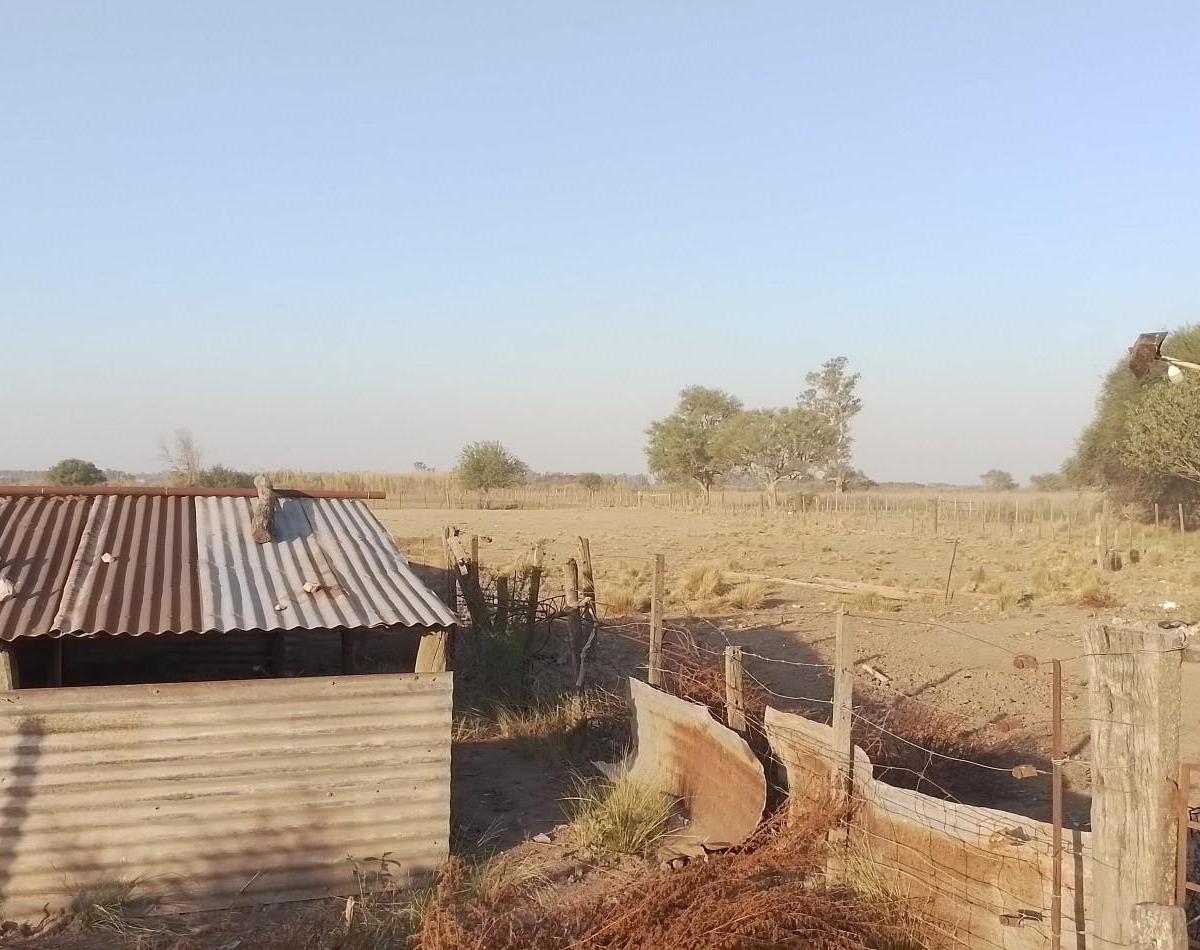 Campo de 2,7 Ha con Mejoras en Villa General Savio 3