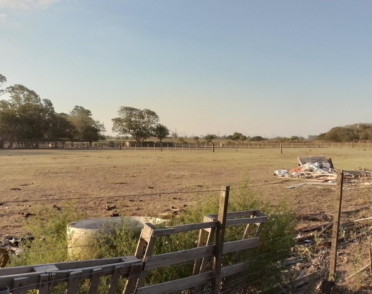 Campo de 2,7 Ha con Mejoras en Villa General Savio 4