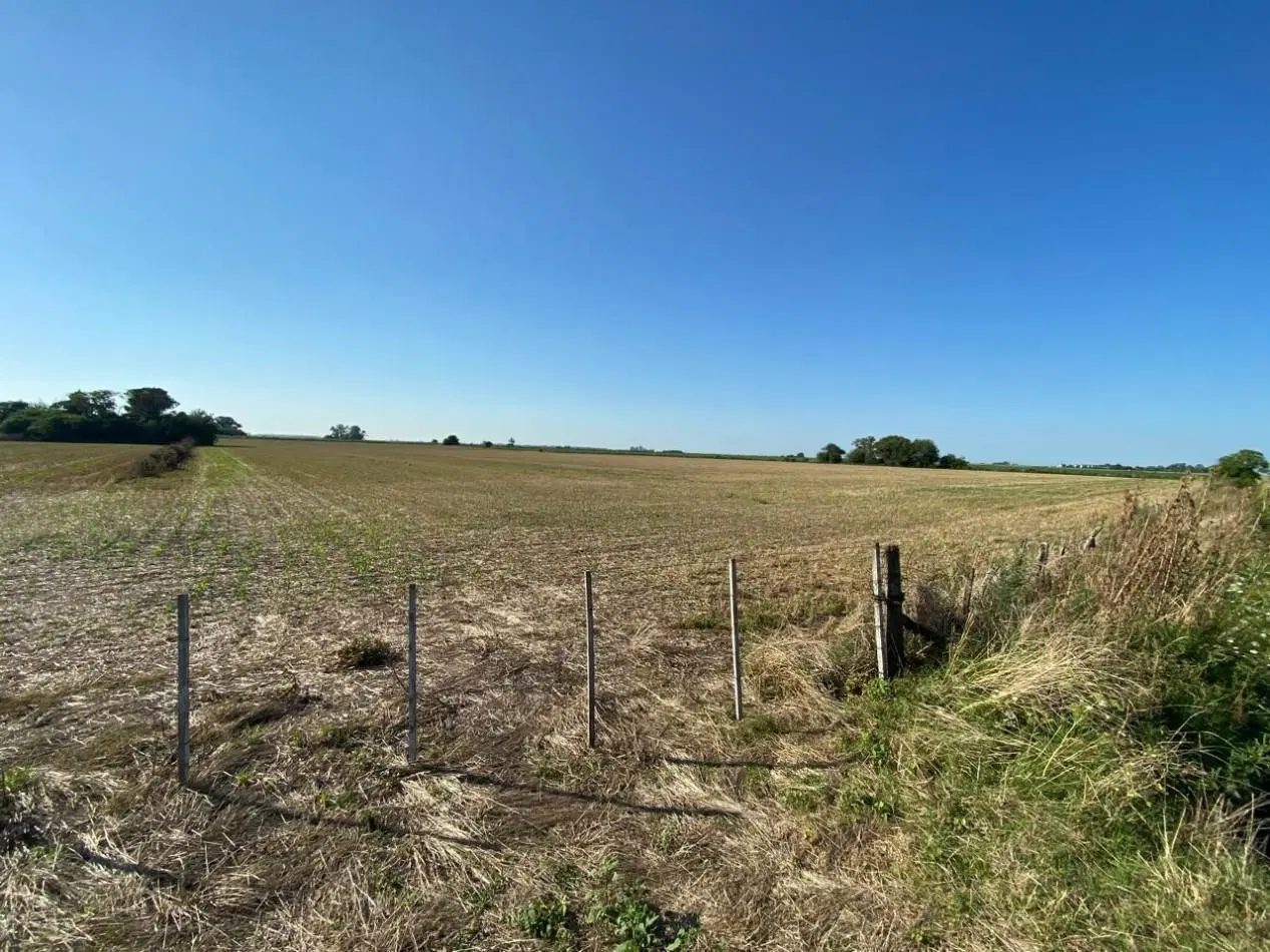 Campo agricola de 9,3 hectareas en Ramallo 3
