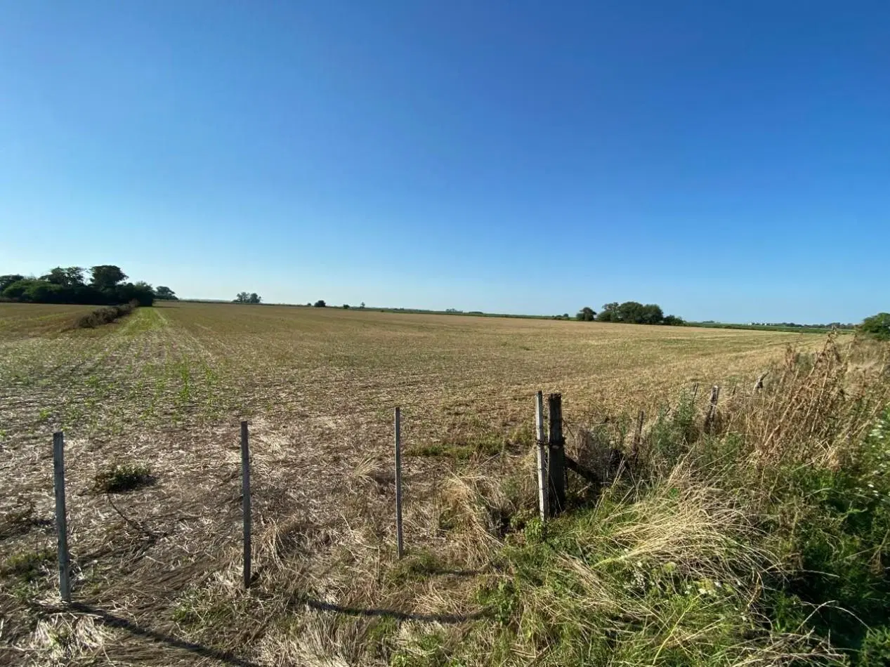 Campo agricola de 9,3 hectareas en Ramallo 5