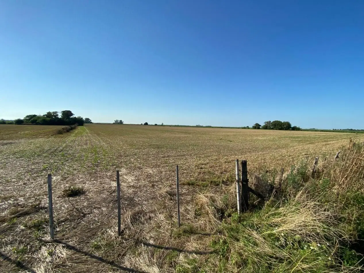 Campo agricola de 9,3 hectareas en Ramallo 2