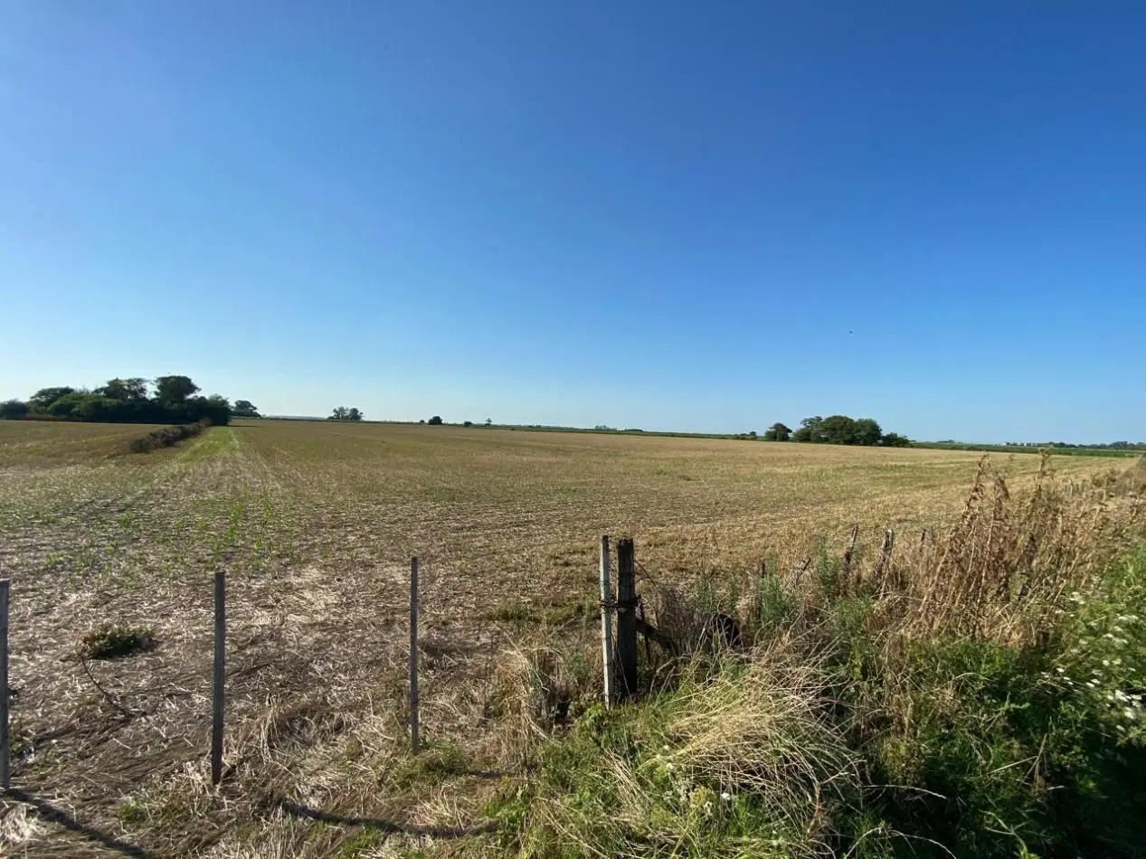 Campo agricola de 9,3 hectareas en Ramallo 4