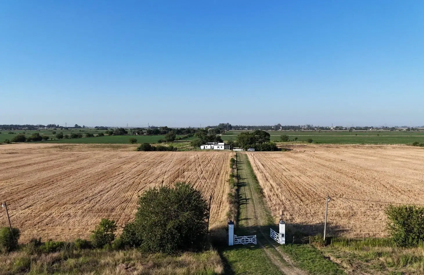 Campo de 12,5 hectareas en San Nicolas (Sobre Autopista Bs As Rosario) 3