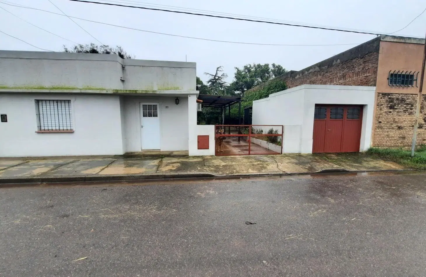 Casa de 3 dormitorios en amplio lote en General Rojo 5