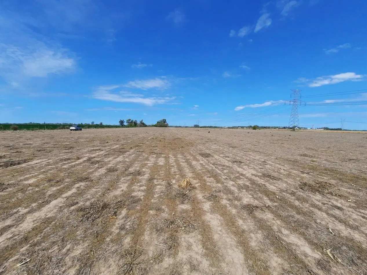 Campo agricola de 15 hectareas en Theobald (Santa Fe) 4