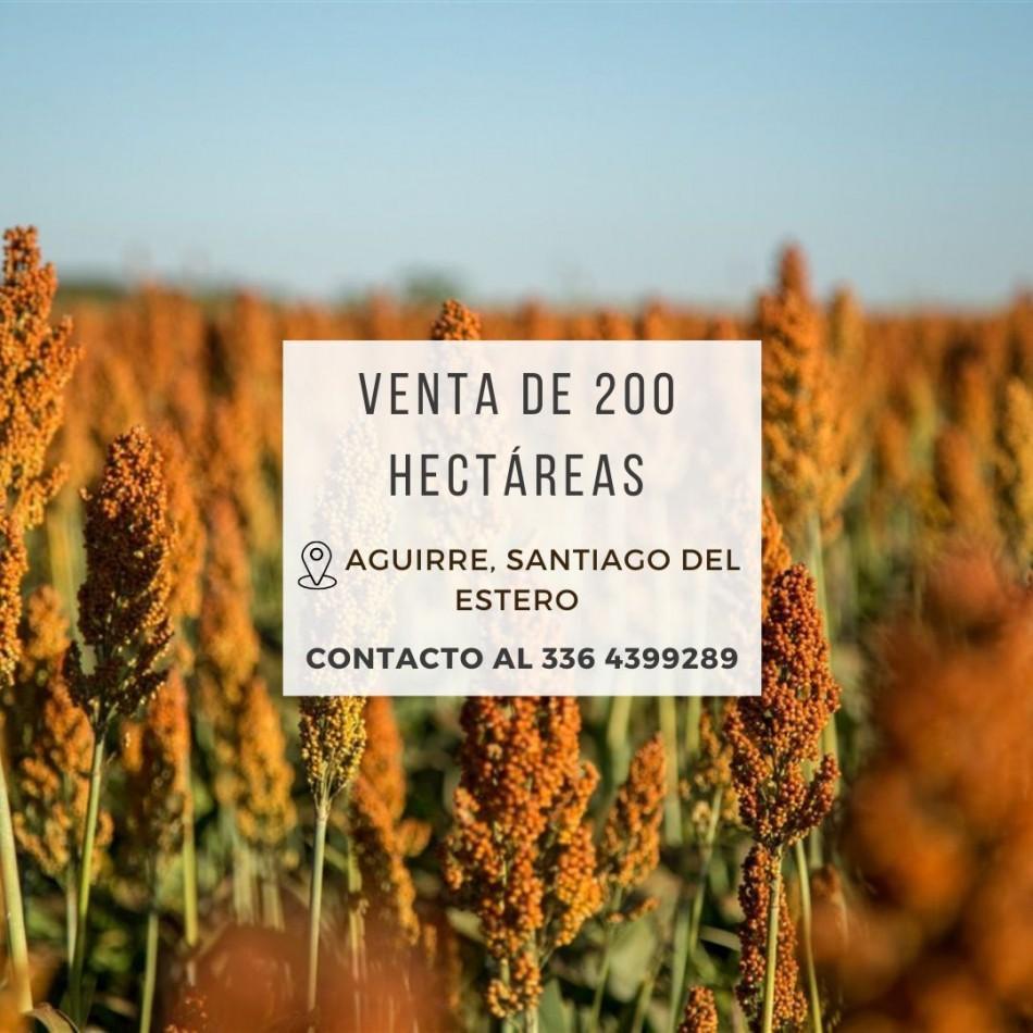 Foto de Campo de 200 Has en Aguirre (Sgo. del Estero), imagen 1