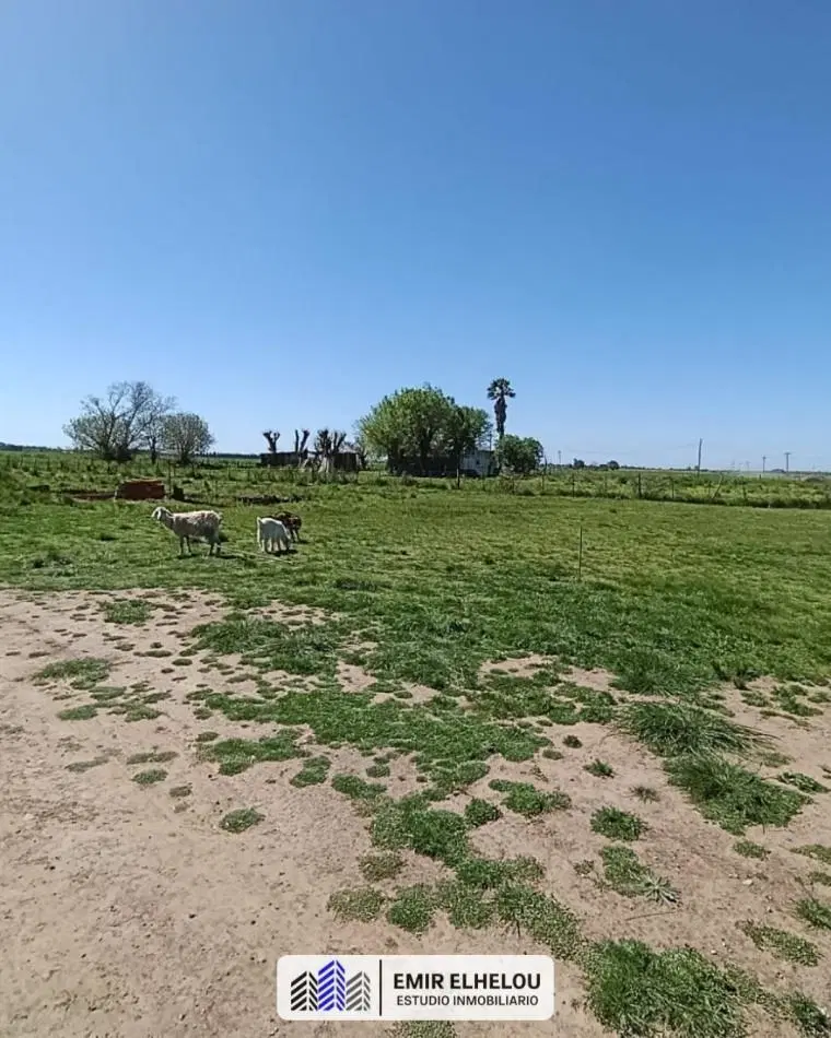 Campo de 3,88 hectareas sobre Camino Nacion 4