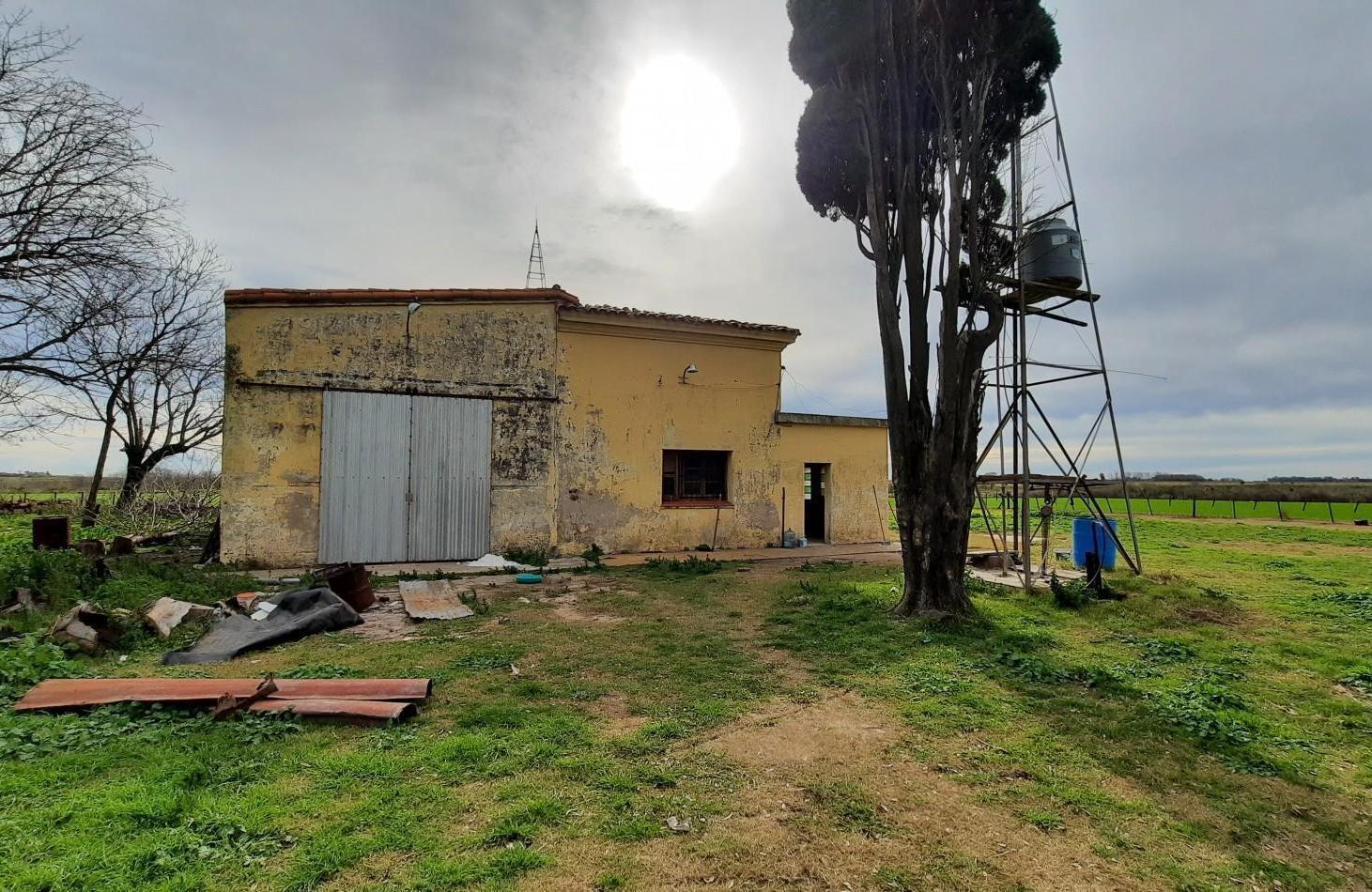 Foto de Campo agricola de 24,5ha con mejoras, imagen 3