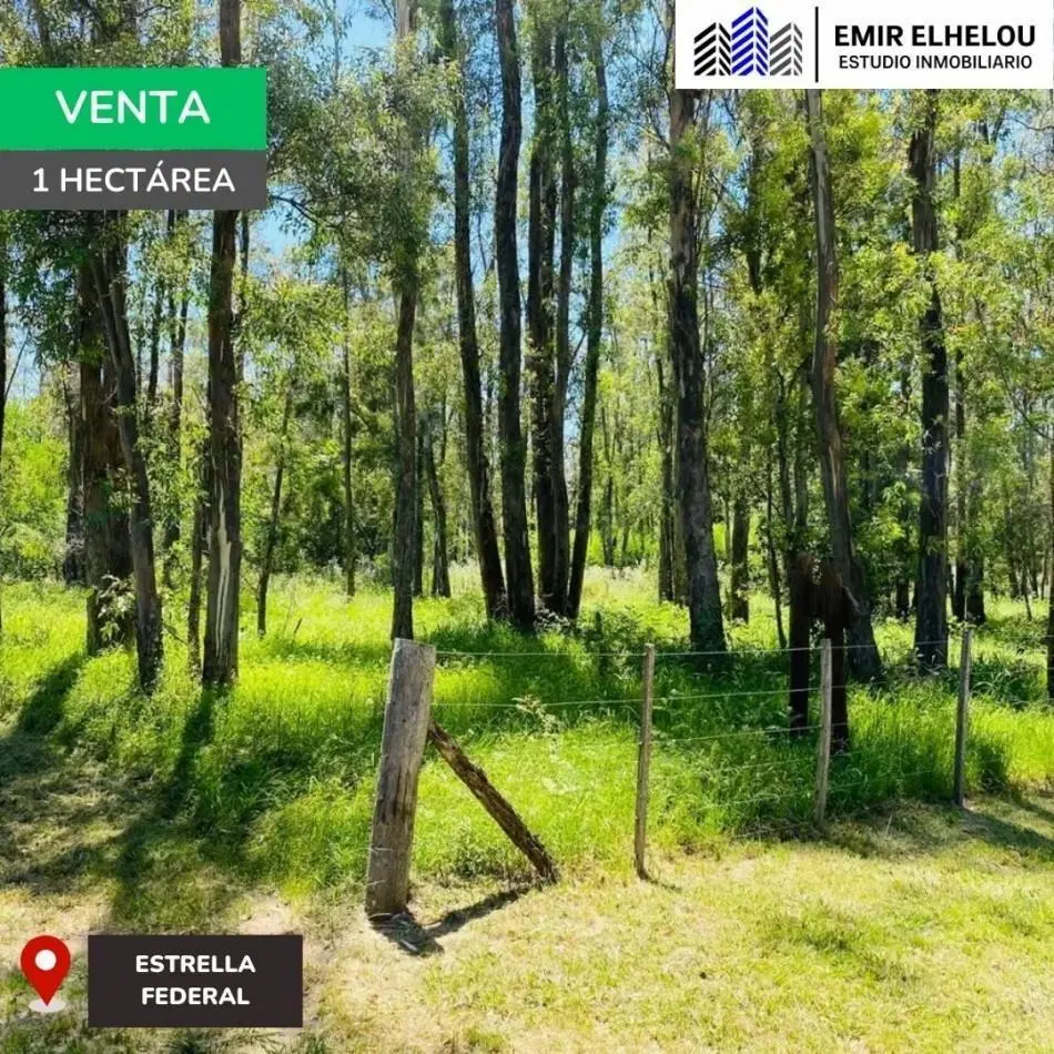 Lote de 1 hectarea en Estancia Estrella Federal 2