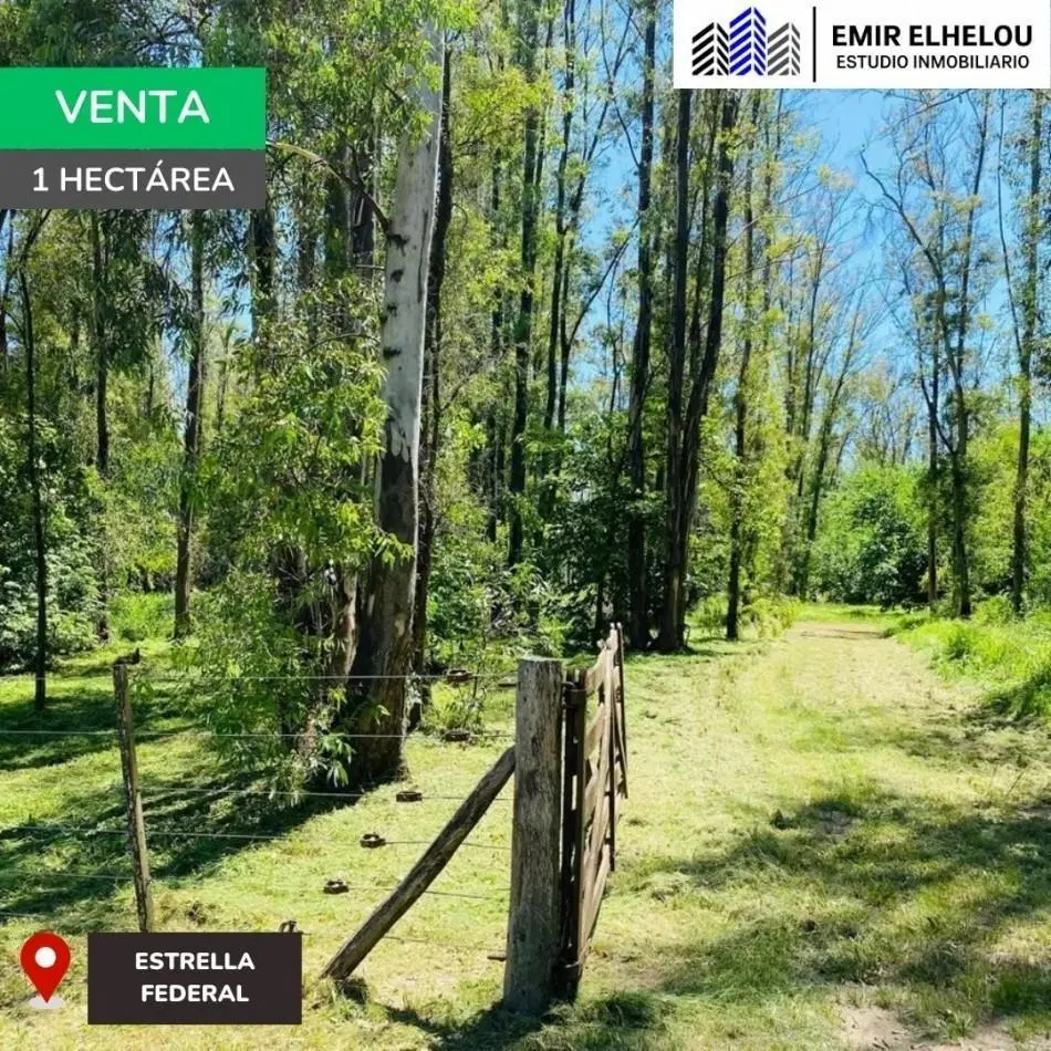 Lote de 1 hectarea en Estancia Estrella Federal 5