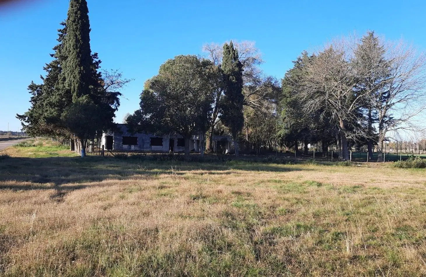 Gran Lote s/ Autopista 9 altura Baradero. 4