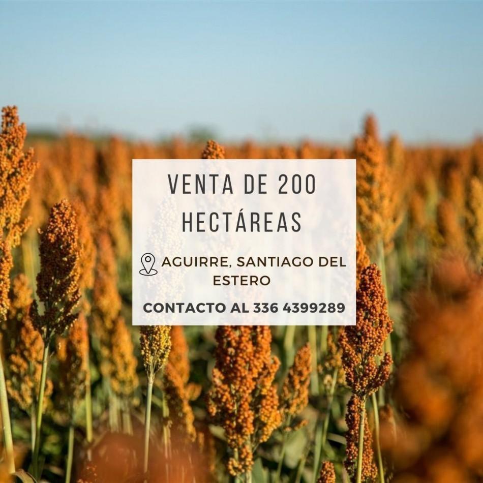 Foto de Campo de 200 Has en Aguirre (Sgo. del Estero), imagen 1