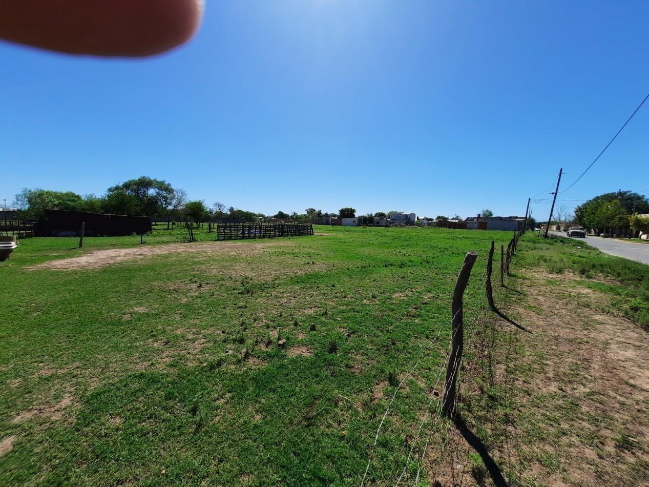 Foto de Fraccion de campo de 2,7ha ideal loteo, imagen 4