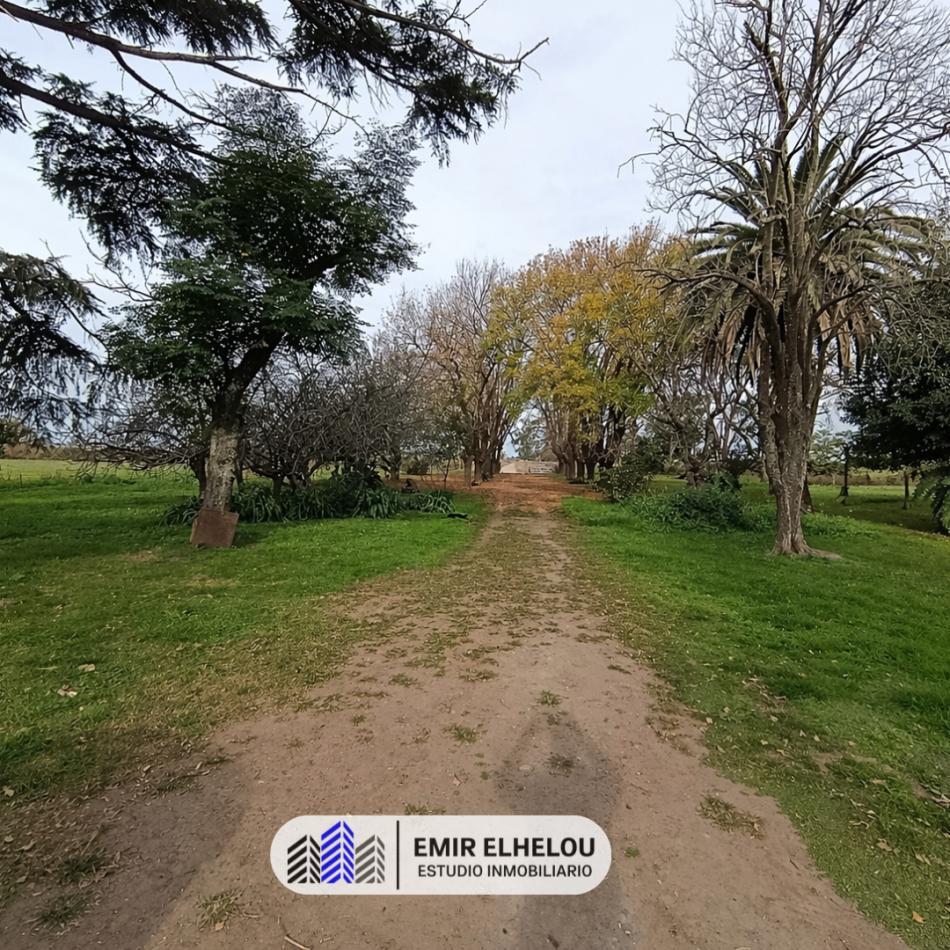 Foto de Hermoso campo de 9 hectareas cercania a Autop. 9, imagen 5