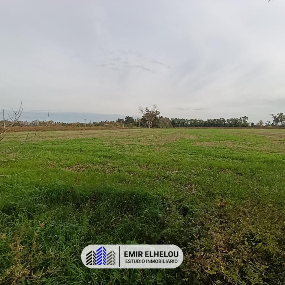 Foto de Hermoso campo de 9 hectareas cercania a Autop. 9, imagen 1