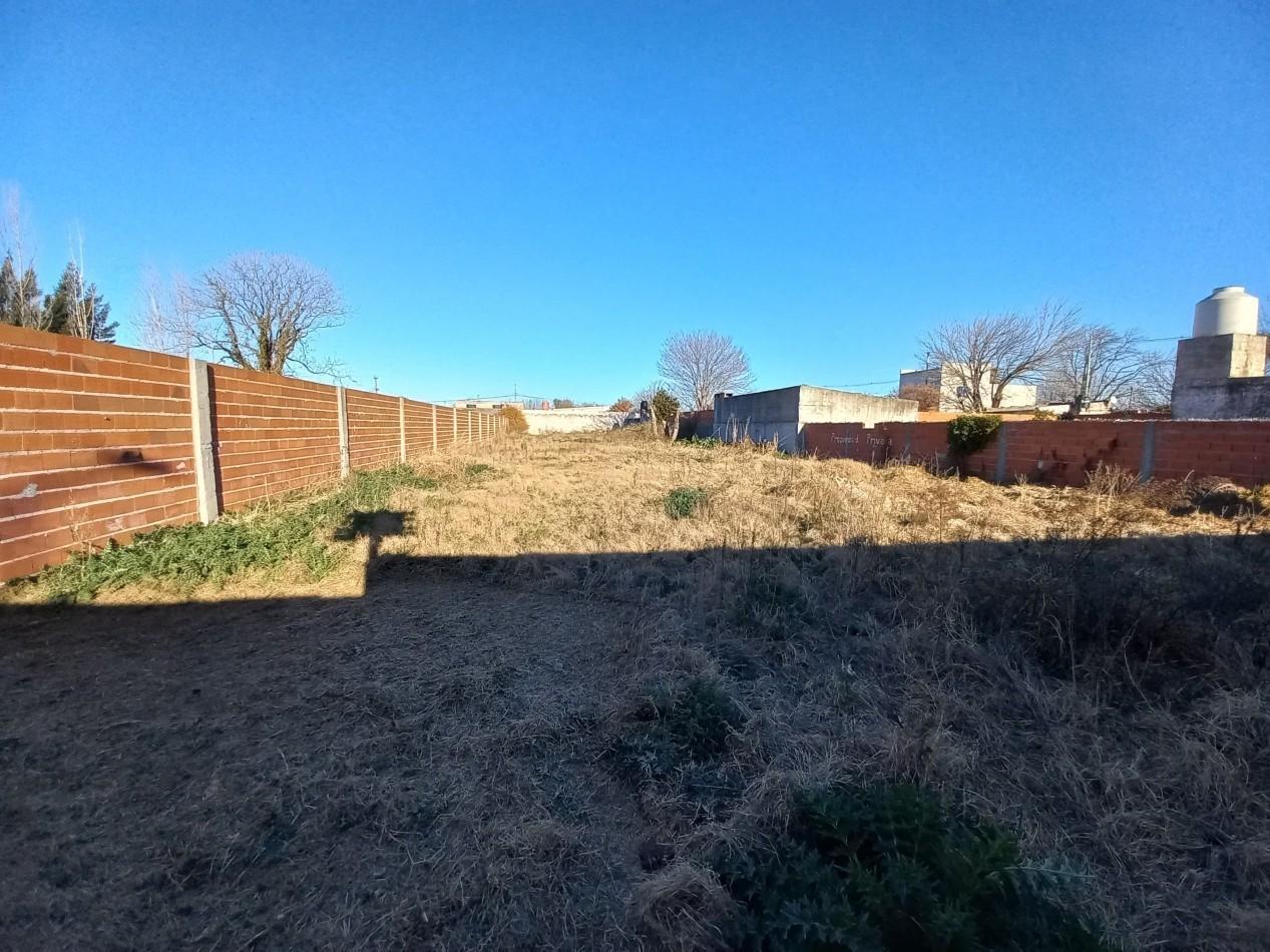 Foto de Gran Lote en Figueroa Alcorta 730, imagen 5