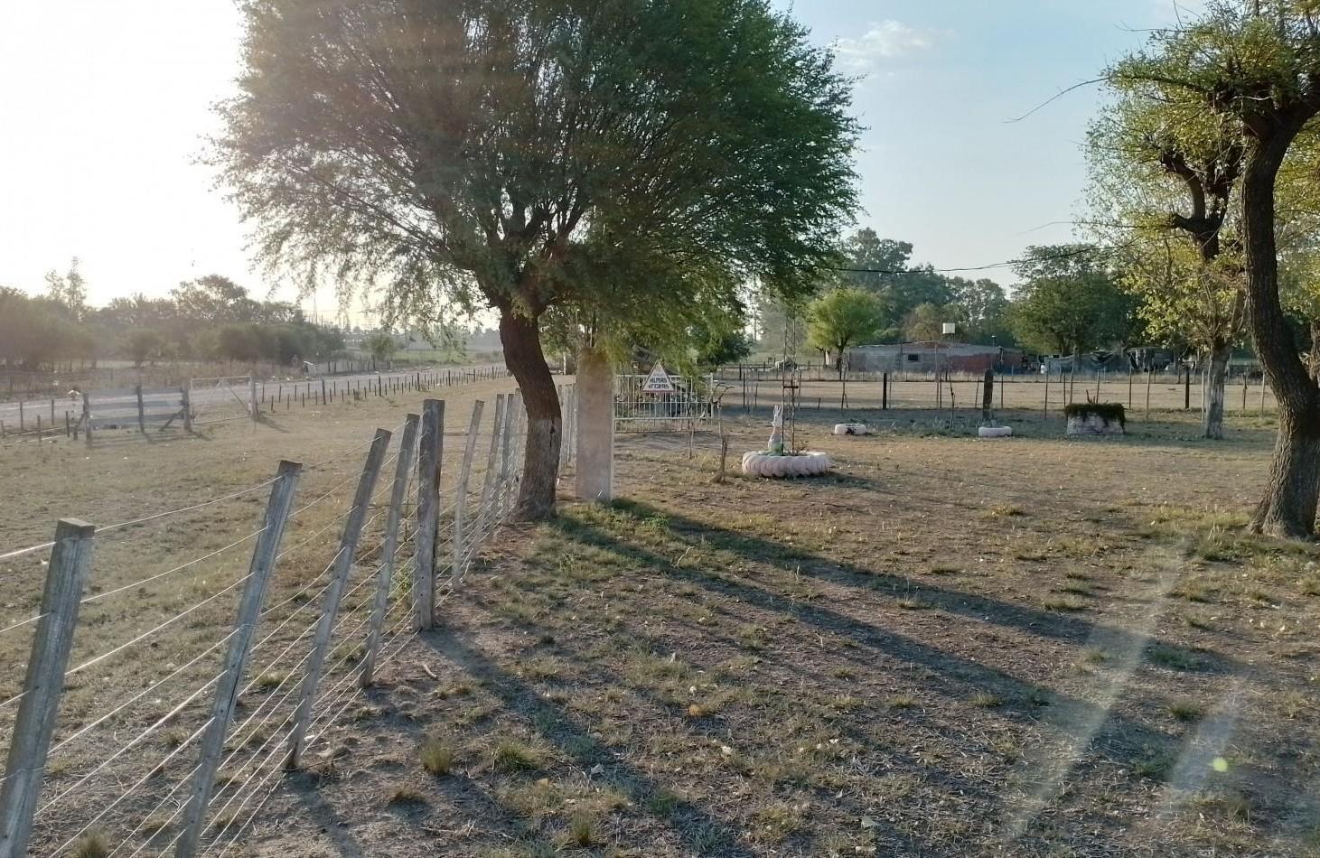 Foto de Campo de 2,7 hectareas con mejoras en Sanchez, imagen 4
