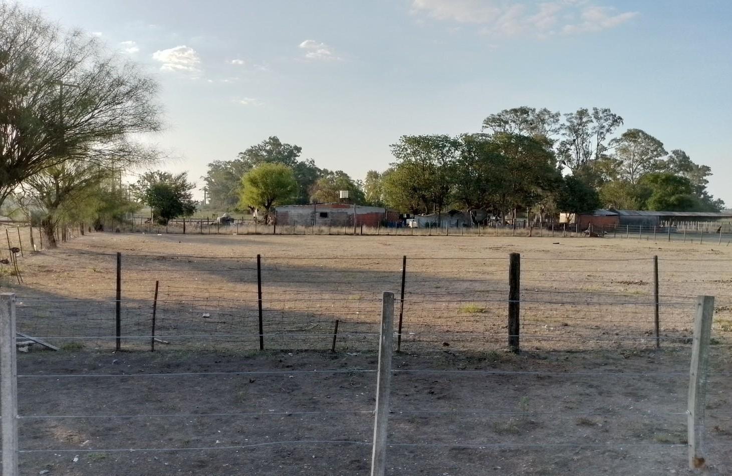 Foto de Campo de 2,7 hectareas con mejoras en Sanchez, imagen 2
