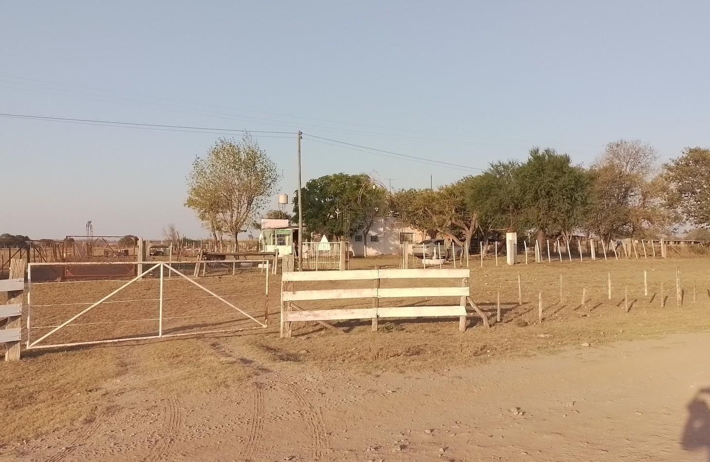 Foto de Campo de 2,7 hectareas con mejoras en Sanchez, imagen 1