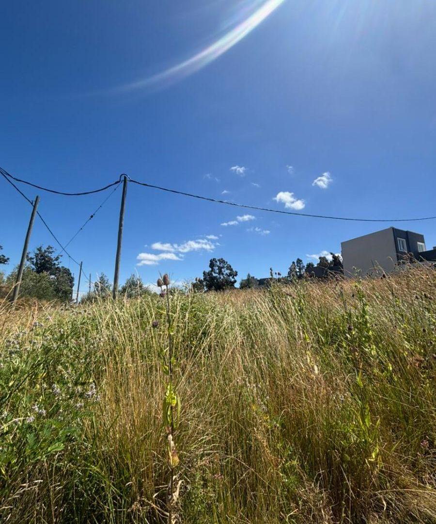 Foto de Lote en VENTA, imagen 1