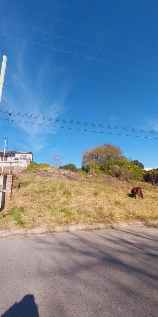 Foto de Lotes en VENTA, imagen 4