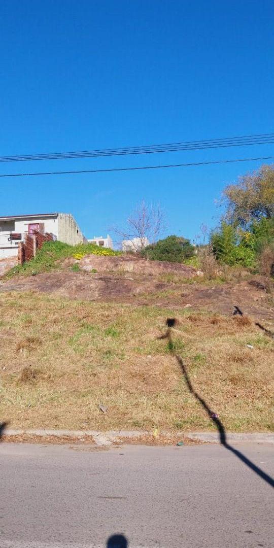 Foto de Lotes en VENTA, imagen 5