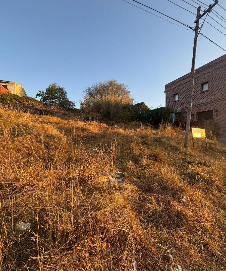 Foto de Lotes en VENTA, imagen 3