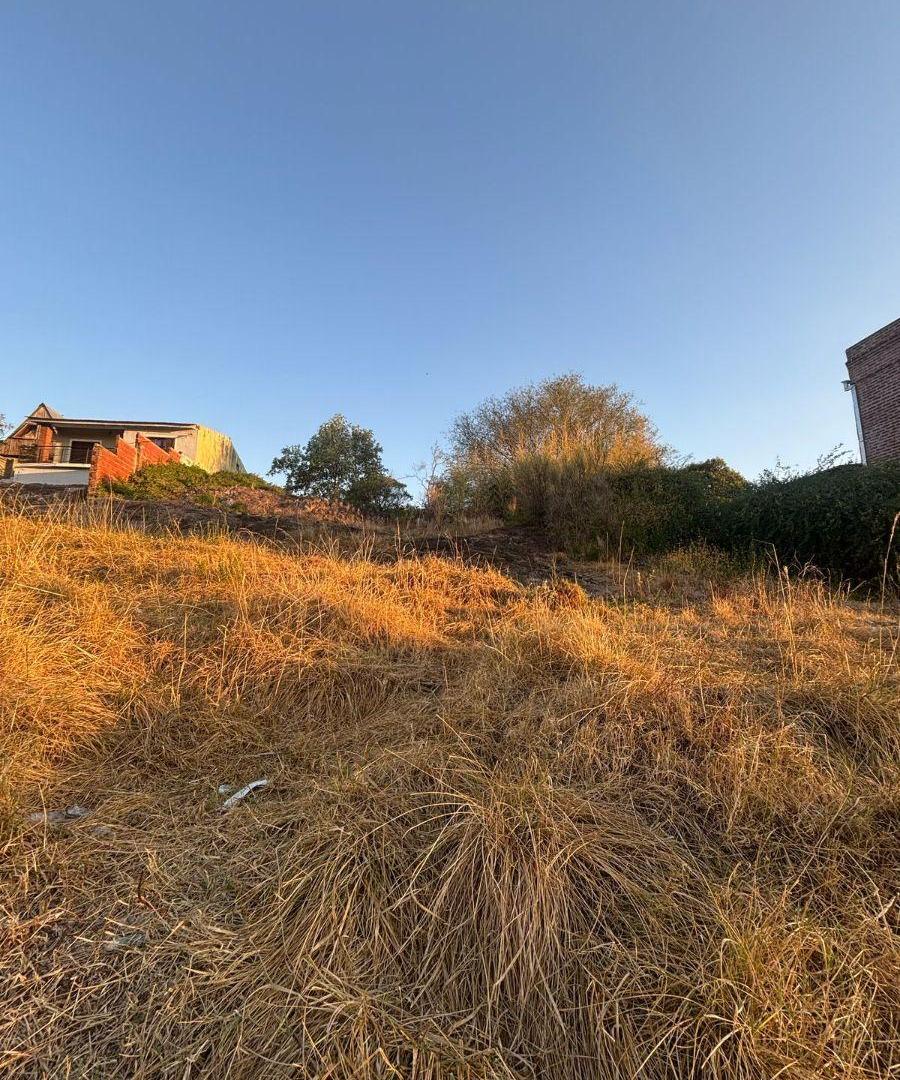 Foto de Lotes en VENTA, imagen 2
