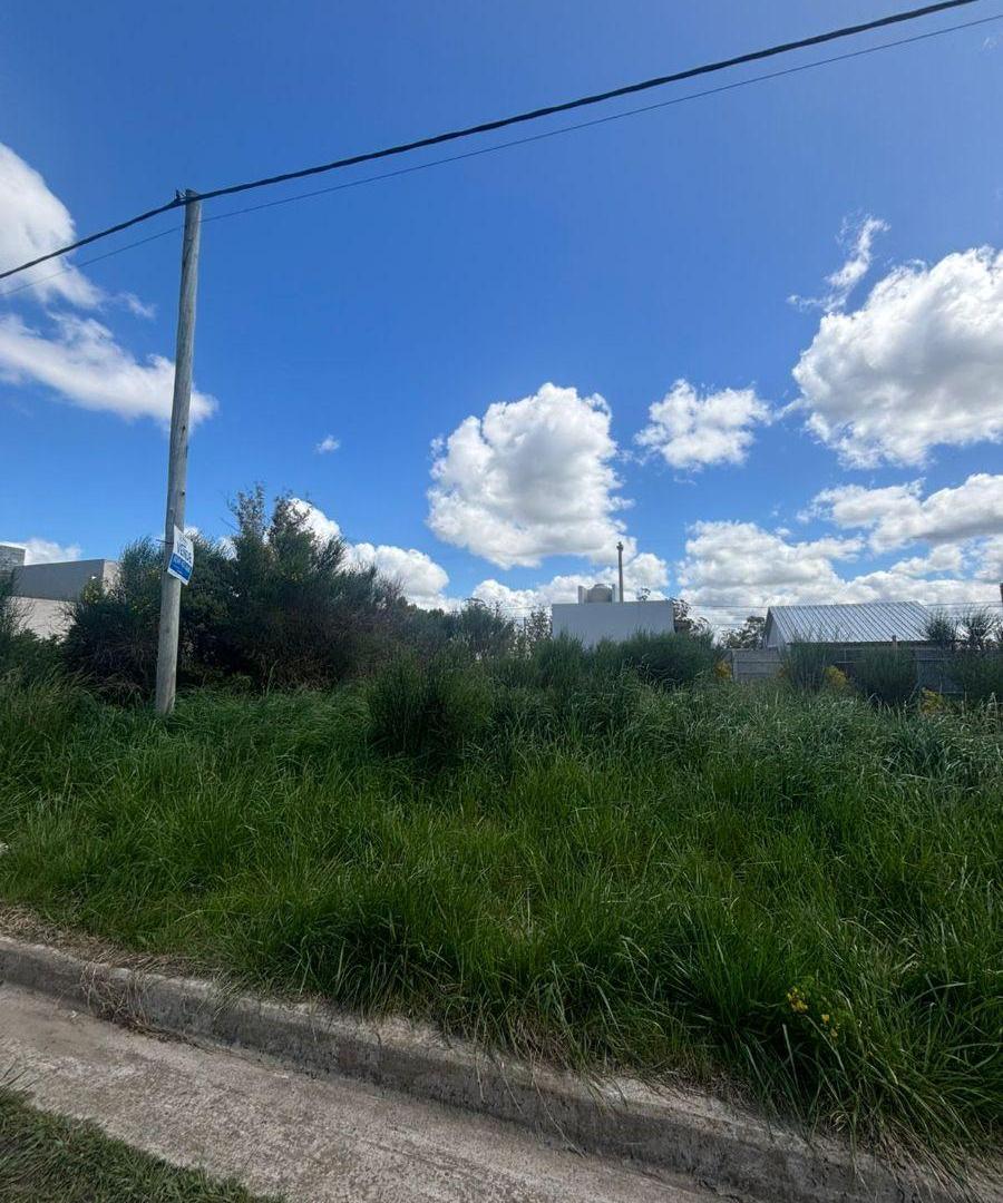 Foto de Lote en VENTA, imagen 4