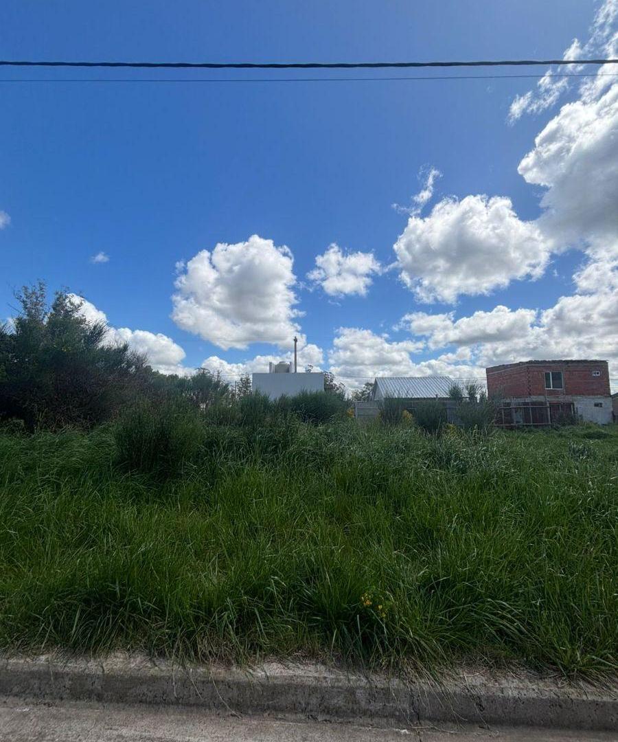 Foto de Lote en VENTA, imagen 5