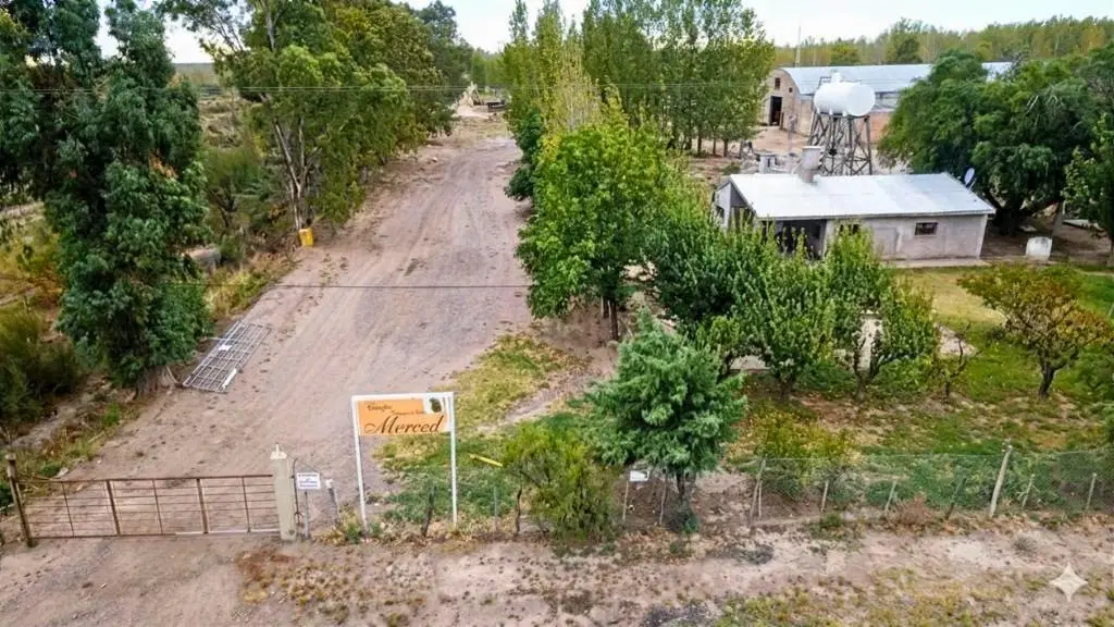 FINCA MERCEDES - Ruta 7, Santa Rosa, Mendoza 3