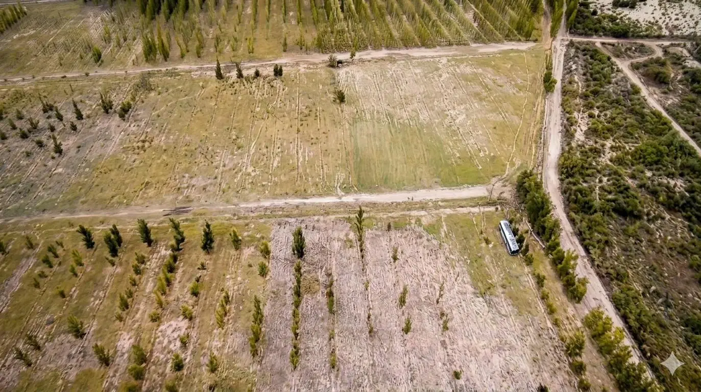 FINCA MERCEDES - Ruta 7, Santa Rosa, Mendoza 2