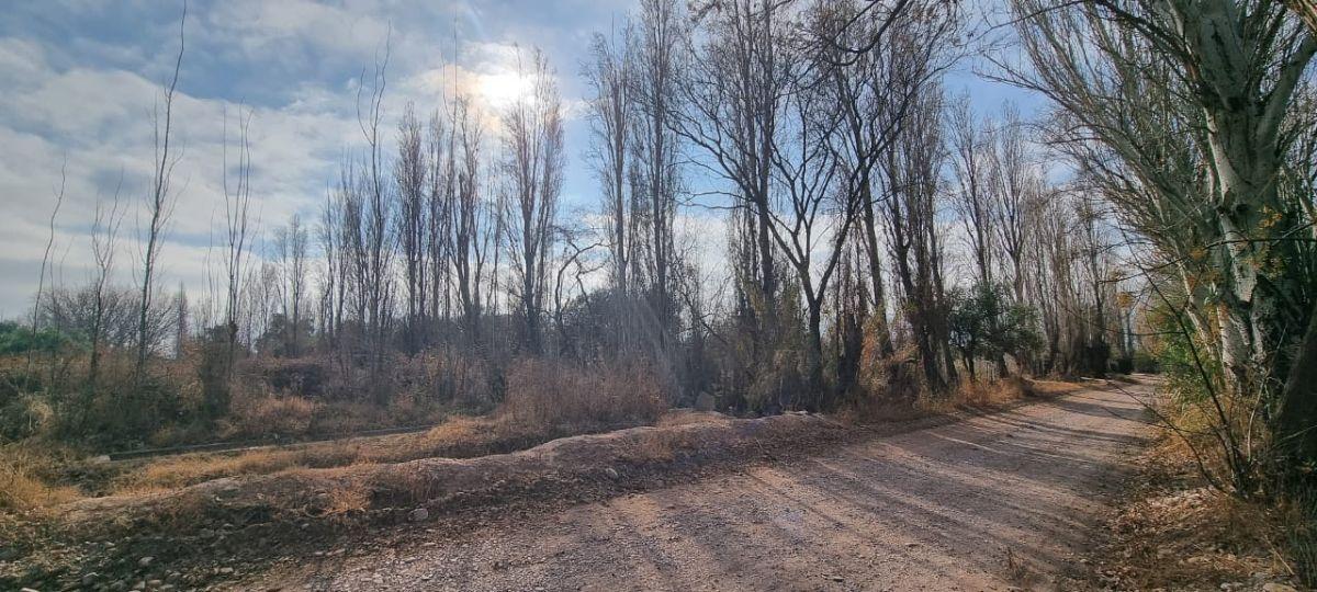 Foto de LOTE EN VENTA 2700 m² – CALLE ROCA (COQUIMBITO, MAIPÚ), imagen 5