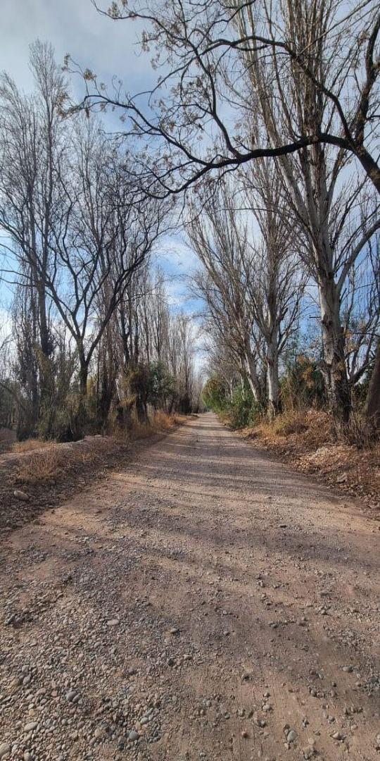 Foto de LOTE EN VENTA 2700 m² – CALLE ROCA (COQUIMBITO, MAIPÚ), imagen 1